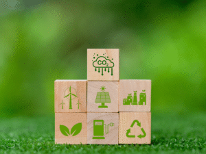 Carbon Credit
